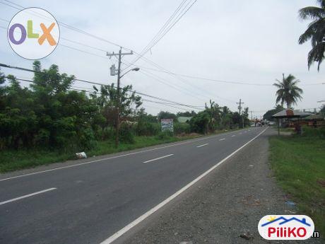 Agricultural Lot for sale in Other Cities