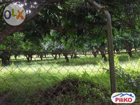 Agricultural Lot for sale in Other Cities in Batangas