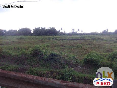 Agricultural Lot for sale in Other Cities in Philippines