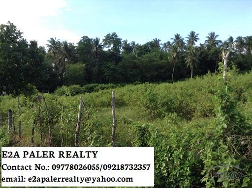 Land and Farm for sale in Legazpi in Albay