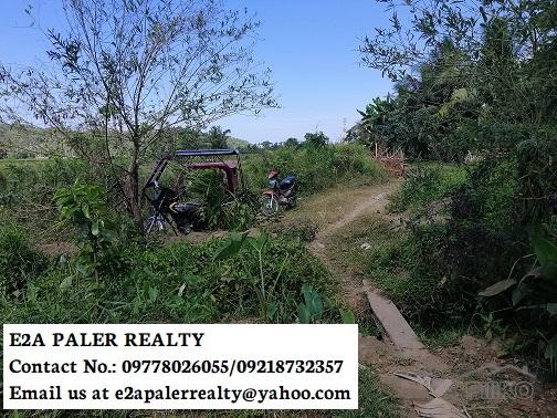 Agricultural Lot for sale in Libon in Philippines