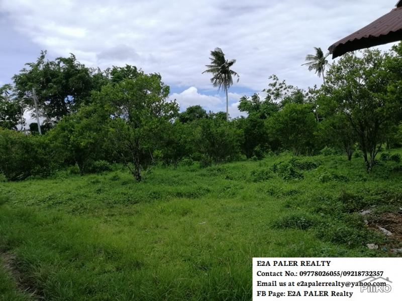 Pictures of Agricultural Lot for sale in Goa