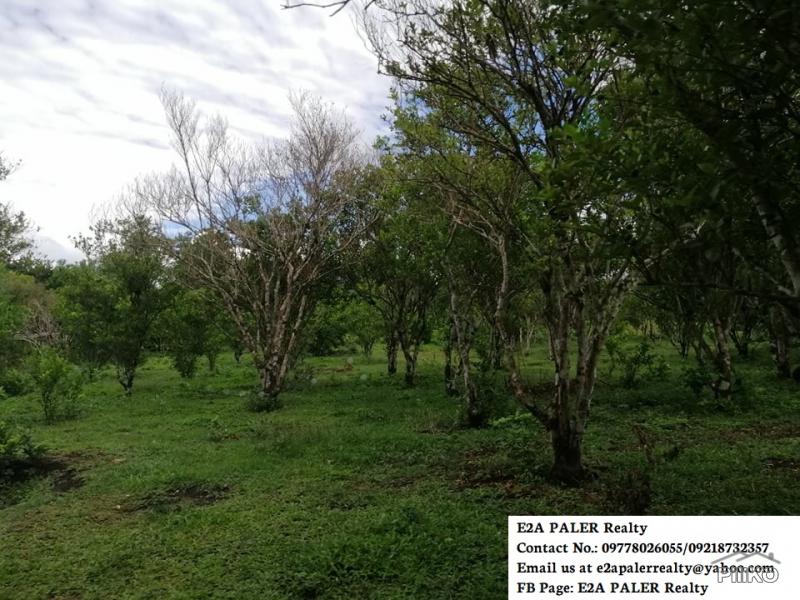 Agricultural Lot for sale in Goa - image 3