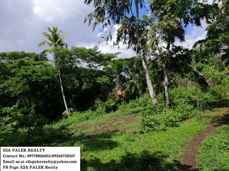 Agricultural Lot for sale in Oas - image 4