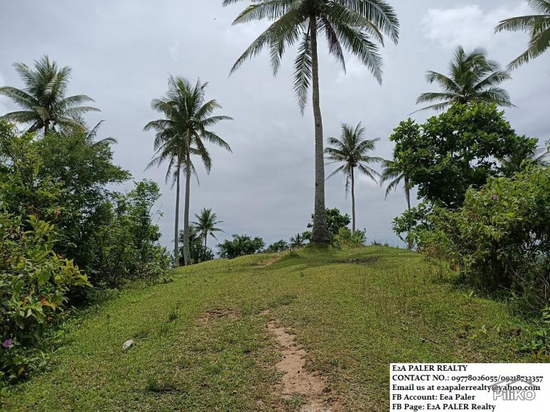 Other property for sale in Legazpi in Albay