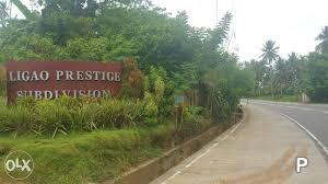Picture of Residential Lot for sale in Ligao