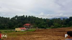 Residential Lot for sale in Ligao - image 2