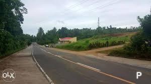 Residential Lot for sale in Ligao - image 3
