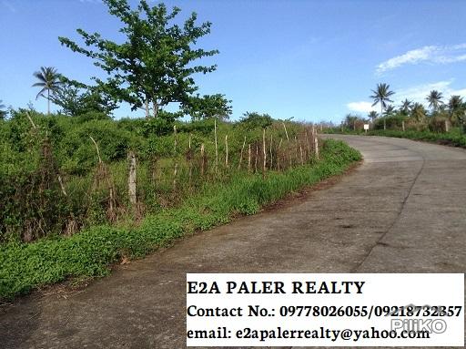 Picture of Land and Farm for sale in Legazpi