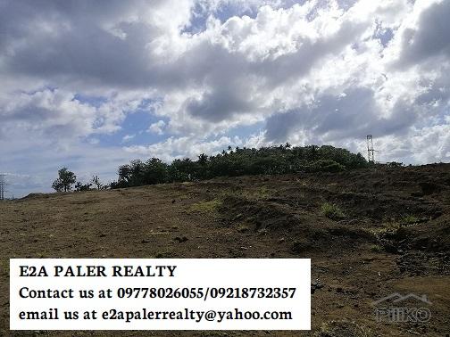 Land and Farm for sale in Daraga - image 2