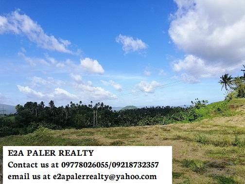 Picture of Land and Farm for sale in Daraga in Albay
