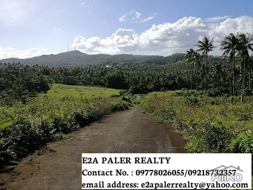 Pictures of Land and Farm for sale in Legazpi