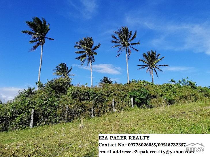 Land and Farm for sale in Legazpi - image 2