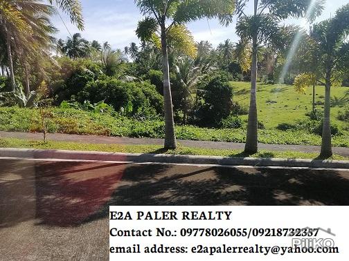 Land and Farm for sale in Legazpi - image 3