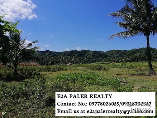 Picture of Land and Farm for sale in Libon