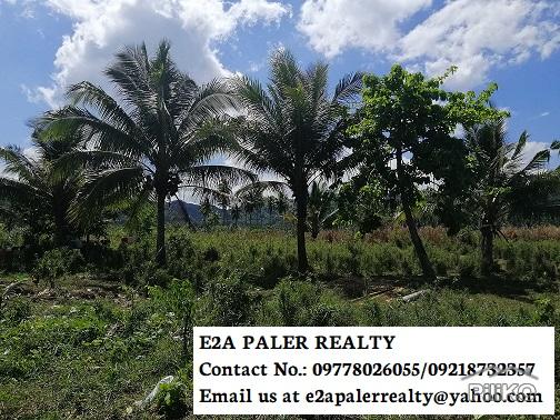 Land and Farm for sale in Libon
