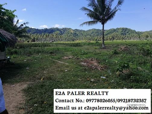 Land and Farm for sale in Libon - image 3
