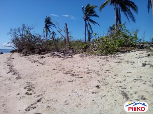 Picture of Agricultural Lot for sale in Cebu City