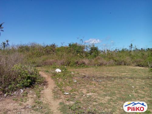 Agricultural Lot for sale in Cebu City - image 5