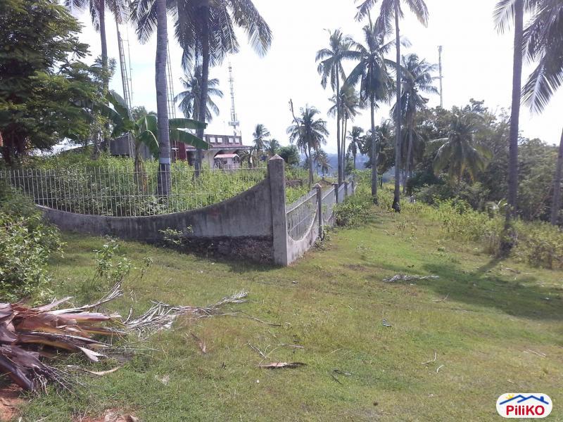 Residential Lot for sale in Mandaue - image 2