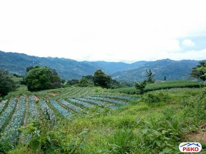 Residential Lot for sale in Mandaue