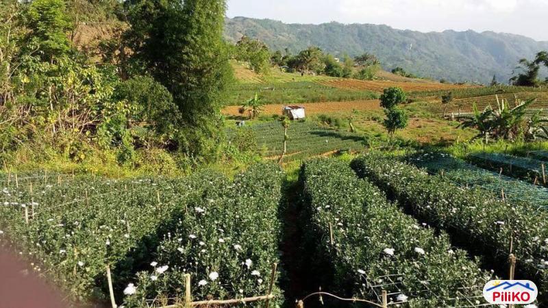 Residential Lot for sale in Mandaue in Cebu