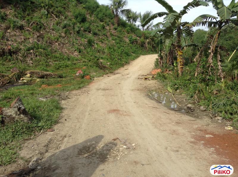 2 bedroom House and Lot for sale in Lapu Lapu - image 4
