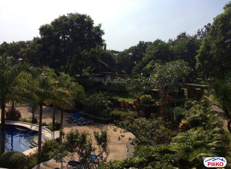 Agricultural Lot for sale in Dasmarinas - image 12