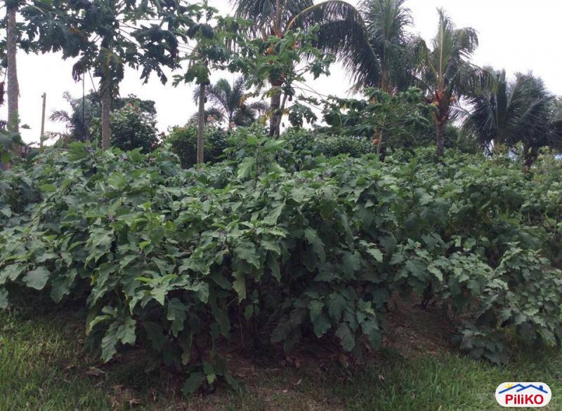 Picture of Agricultural Lot for sale in Dasmarinas