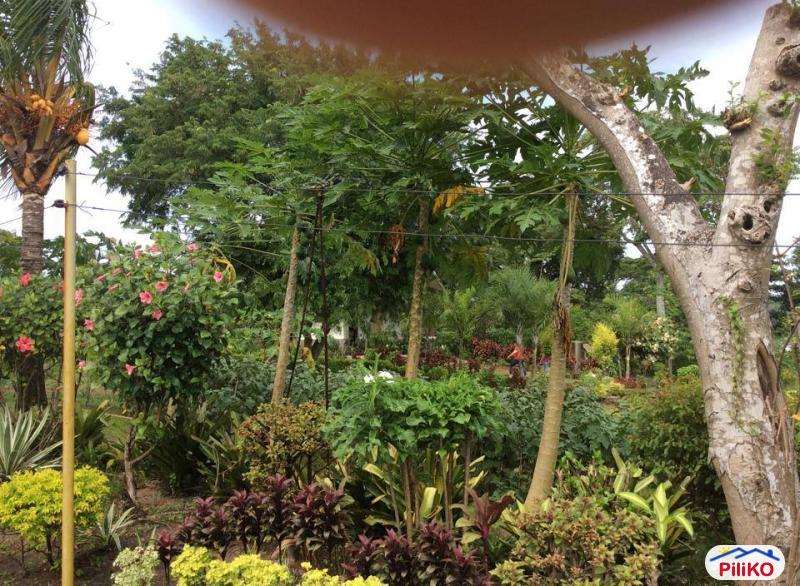 Agricultural Lot for sale in Dasmarinas