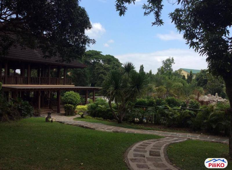 Picture of Agricultural Lot for sale in Dasmarinas in Philippines