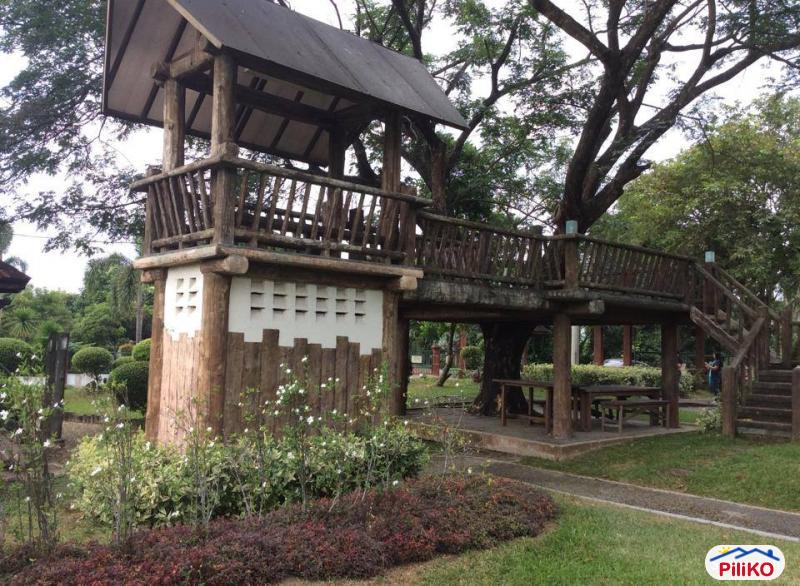 Agricultural Lot for sale in Dasmarinas in Cavite - image