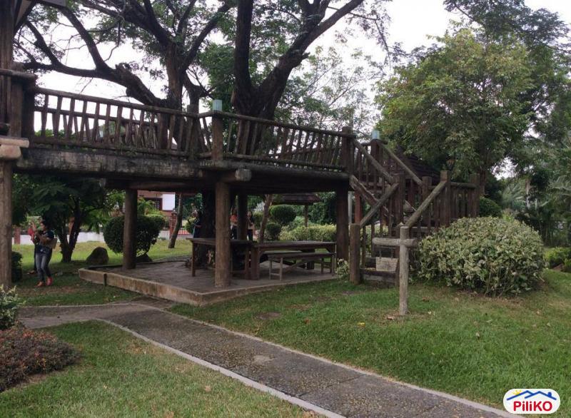 Agricultural Lot for sale in Dasmarinas - image 9