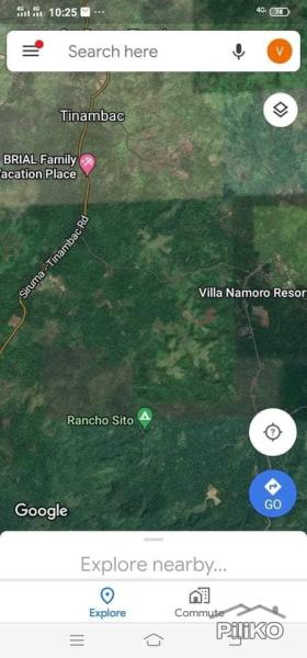 Agricultural Lot for sale in Tinambac in Philippines