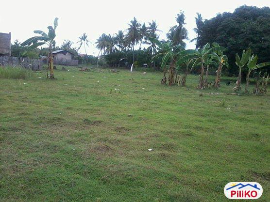 Residential Lot for sale in Minglanilla
