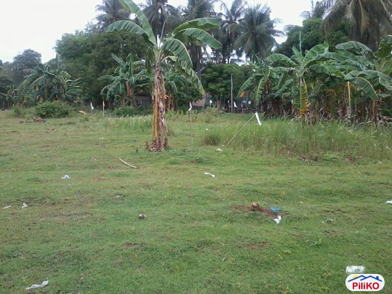 Residential Lot for sale in Minglanilla - image 3