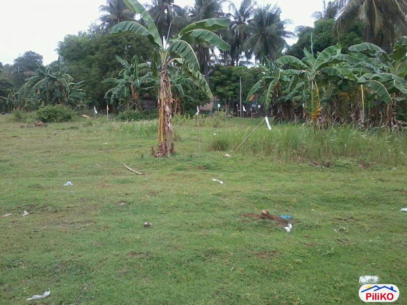 Residential Lot for sale in Minglanilla in Cebu