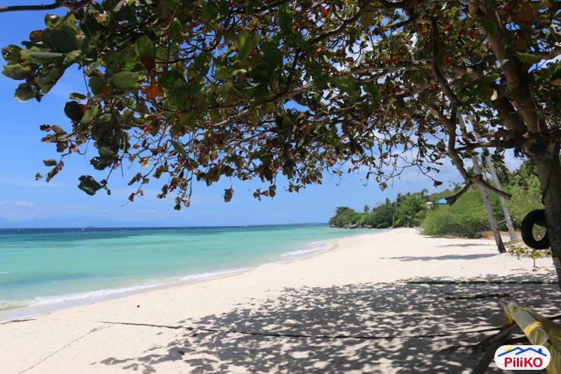 Picture of Residential Lot for sale in Badian