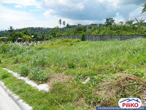 Pictures of Residential Lot for sale in Badian