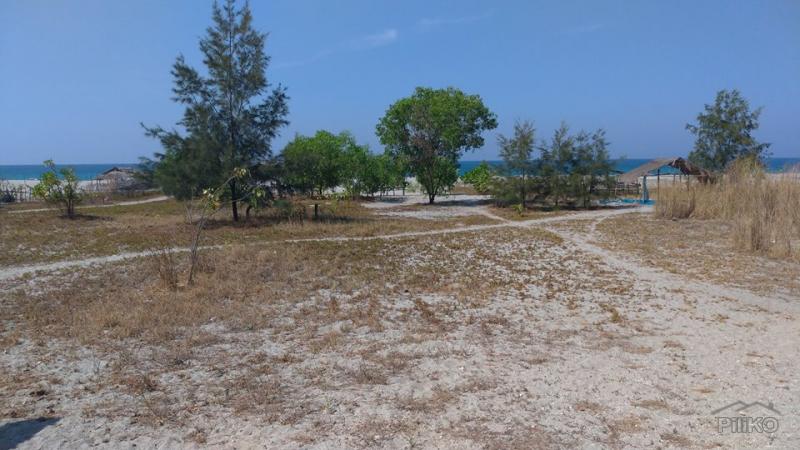 Lot for sale in Cabangan