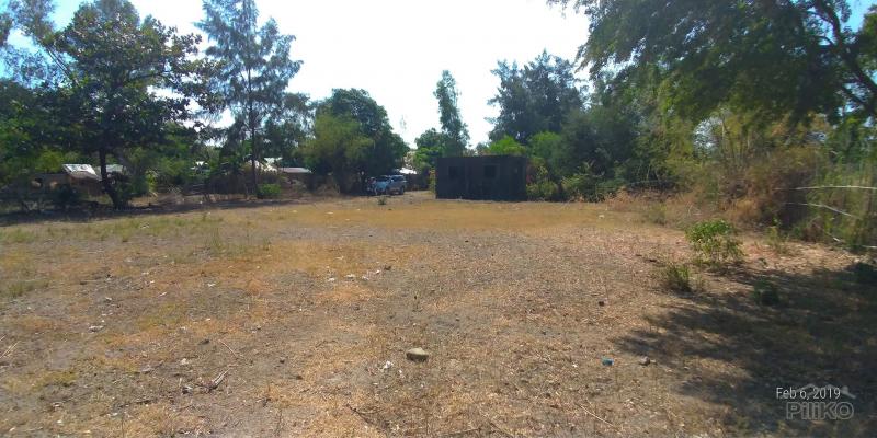 Lot for sale in Cabangan in Zambales