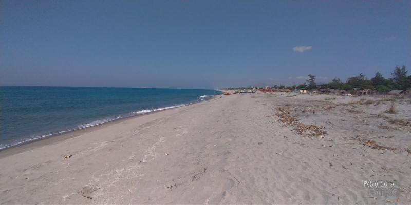 Lot for sale in Cabangan - image 5