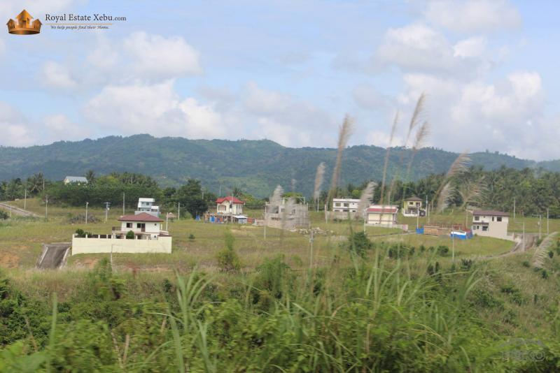 Lot for sale in Talisay in Cebu