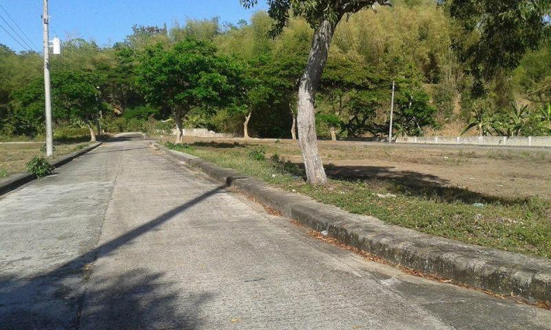 Residential Lot for sale in Cebu City - image 2