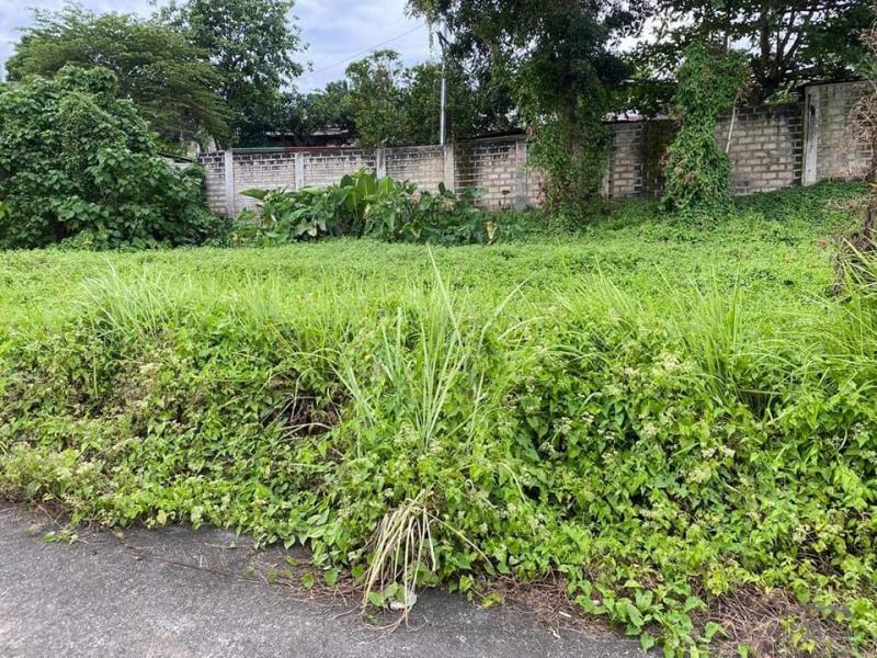 Picture of Residential Lot for sale in Cebu City