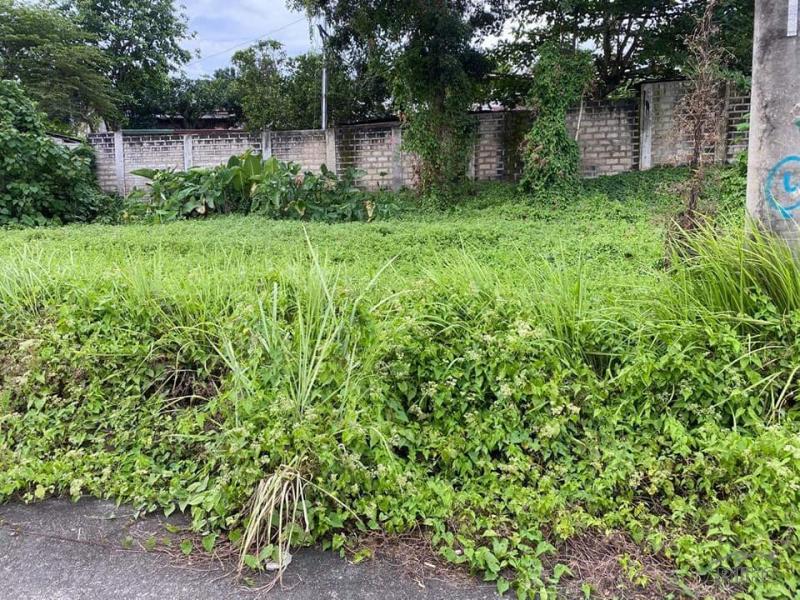 Residential Lot for sale in Cebu City