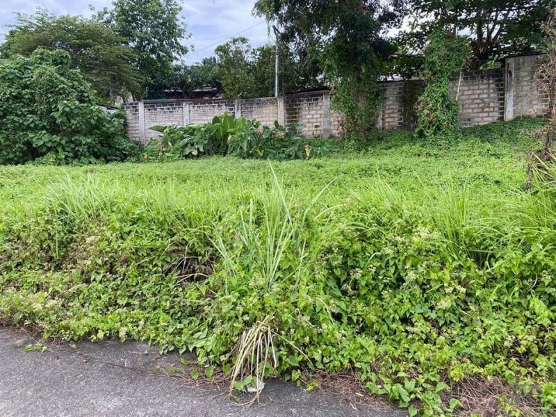 Residential Lot for sale in Cebu City in Cebu
