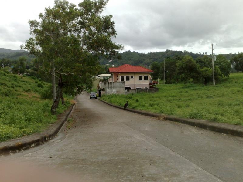 Residential Lot for sale in Cebu City in Cebu