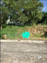 Residential Lot for sale in Cebu City