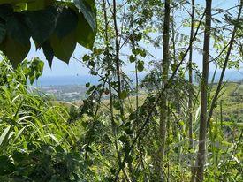 Residential Lot for sale in Cebu City in Cebu - image